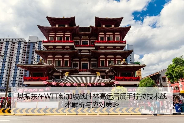 樊振东在WTT新加坡战胜林高远后反手拧拉技术战术解析与应对策略